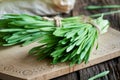 Freshly grown green barley grass on a wooden cutting board Royalty Free Stock Photo