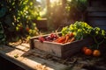 Freshly grown by nature. A crate full of fresh produce vegetables from farm. Ai generative