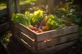 Freshly grown by nature. A crate full of fresh produce vegetables from farm. Ai generative