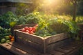 Freshly grown by nature. A crate full of fresh produce vegetables from farm. Ai generative