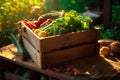 Freshly grown by nature. A crate full of fresh produce vegetables from farm. Ai generative