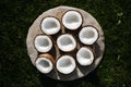 Freshly halved coconuts arranged artistically on a natural stone