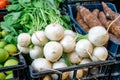 Freshly harvest white radish on a market stall Royalty Free Stock Photo