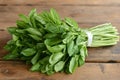 Freshly harvested basil bunch, tied and ready for culinary use, sits on a rustic wooden table Royalty Free Stock Photo