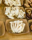 Freshly harvested Beech mushrooms Royalty Free Stock Photo
