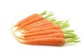 Freshly harvested carrots Royalty Free Stock Photo