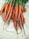 Freshley harvested orange carrots