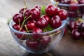 Freshly harvested cherries in a bowl from your home garden Royalty Free Stock Photo