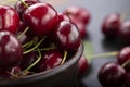 Freshly harvested cherries in a clay bowl from your home garden Royalty Free Stock Photo