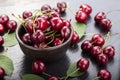 Freshly harvested cherries in a clay bowl from your home garden Royalty Free Stock Photo