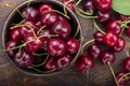 Freshly harvested cherries in a clay bowl from your home garden Royalty Free Stock Photo