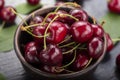Freshly harvested cherries in a clay bowl from your home garden Royalty Free Stock Photo