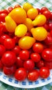 Freshly harvested cherry tomato fruits