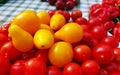 Freshly harvested cherry tomato fruits