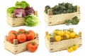 Freshly harvested cooking vegetables in wooden crate Royalty Free Stock Photo