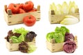 Freshly harvested cooking vegetables in wooden crate Royalty Free Stock Photo