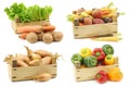 Freshly harvested cooking vegetables in wooden crate Royalty Free Stock Photo