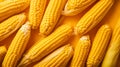 Freshly harvested corn cobs, arranged on a vibrant yellow platter, illuminated, AI generated