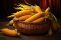 Freshly harvested corn ears arranged in a