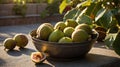 Bowl of Fresh Figs on Stone Table with Fig Tree Leaves in Background Royalty Free Stock Photo