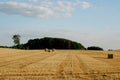 The freshly harvested grain field. Field of freshly bales of hay with beautiful sunset Royalty Free Stock Photo