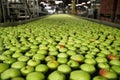 Freshly harvested green apples in a large pool Royalty Free Stock Photo