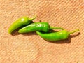 Chilli peppers green chillies chilly pepper vegetable food hari mirch hareemirach piment vert spicy ingredient photo Royalty Free Stock Photo