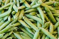 Freshly harvested green peas in pods. Vegatarian food concept. Organic green peas Royalty Free Stock Photo