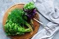 Freshly harvested herbs, bunches of fresh herb on grey concrete background from above. Bundles of basil, dill and arugula with Royalty Free Stock Photo