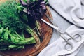 Freshly harvested herbs Royalty Free Stock Photo