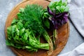 Freshly harvested herbs, bunches of fresh herb on grey concrete background from above. Bundles of basil, dill and arugula. Top Royalty Free Stock Photo