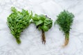 Freshly harvested herbs Royalty Free Stock Photo