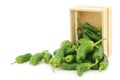Freshly harvested jalapeno peppers in a wooden crate Royalty Free Stock Photo