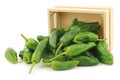 Freshly harvested jalapeno peppers in a wooden crate Royalty Free Stock Photo