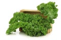 Freshly harvested kale cabbage in a wooden crate