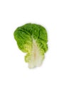 Freshly harvested little gem lettuce leaf on a white background Royalty Free Stock Photo