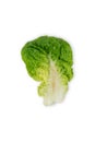 freshly harvested little gem lettuce leaf on a white background Royalty Free Stock Photo