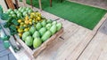 freshly harvested mangoes and oranges in wooden crates at a traditional market Royalty Free Stock Photo