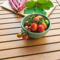 Home grown grape tomatoes and okra with and okra leaf