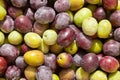 Freshly Harvested Olives Background