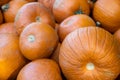 Freshly harvested orange pumpkins stacked in haphazard pile for sale