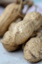 Freshly harvested peanuts in shell closeup