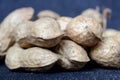 Freshly harvested peanuts in shell closeup