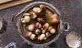 Freshly harvested porcini mushrooms