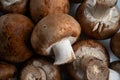 Freshly harvested Portobello mushrooms arranged in a rustic pile. Royalty Free Stock Photo