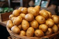 Freshly harvested potatoes in a basket, invitingly arranged on market counter