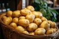 Freshly harvested potatoes in a basket, invitingly arranged on market counter