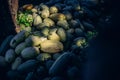 Freshly harvested pumpkins stacked on the ground in the field under the sunlight