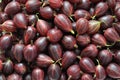 freshly harvested ripe red gooseberries Royalty Free Stock Photo