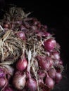 freshly harvested shallots from the field Royalty Free Stock Photo